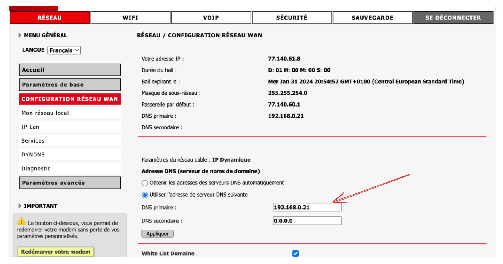 Set Primary DNS to Raspberry Pi